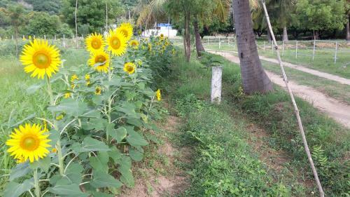 Agroturismo Nannilam Organic Farm Stay