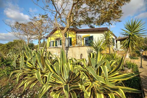 Holiday Home Pietraperzia - Isi031003-f
