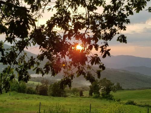 Bed & Breakfast Ristorante Da Pietro