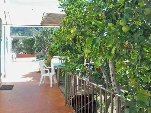 Apartamento Appartamento Olivo 110s