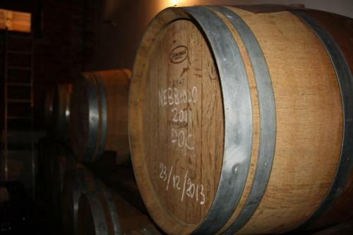 Bed & Breakfast Relais Profumo Di Vino