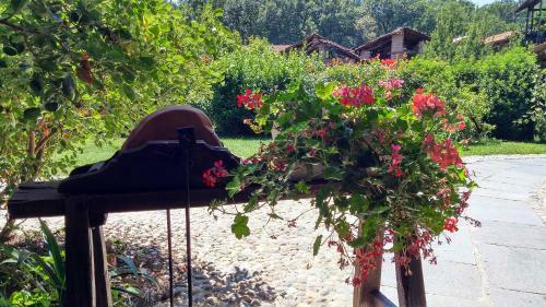 Bed & Breakfast Relais Profumo Di Vino