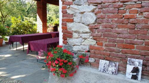 Bed & Breakfast Relais Profumo Di Vino