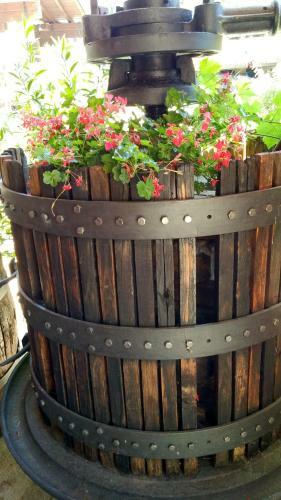 Bed & Breakfast Relais Profumo Di Vino