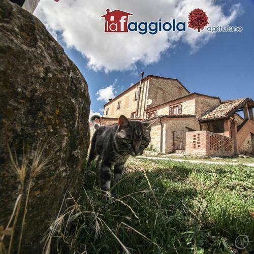 Agroturismo La Faggiola Agriturismo