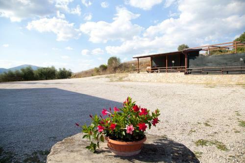 Agroturismo Agriturismo San Fedele
