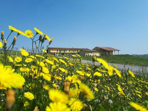 Agroturismo Wine Dreams Holiday Home