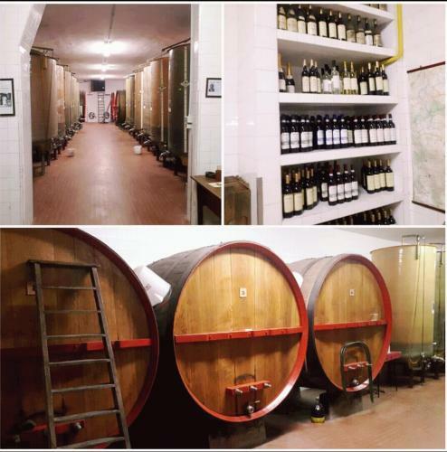 Agroturismo Wine Dreams Holiday Home