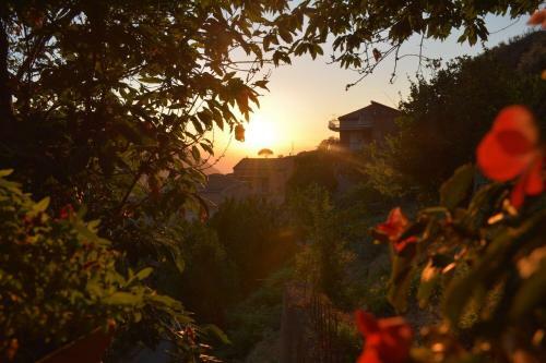 Agroturismo L'uliveto