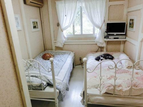 Hotel Pension Blue Poppy