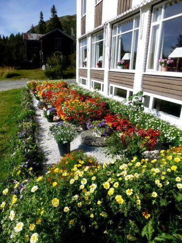 Hotel Tronsvangen Seter
