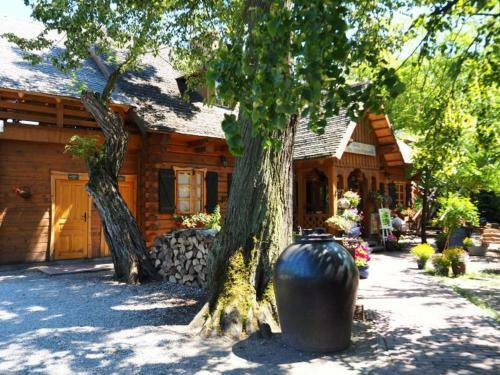 Hotel Ober?a Pod Z?otym Prosiakiem