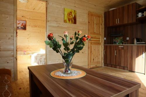 Lodge Aida Domki Letniskowe