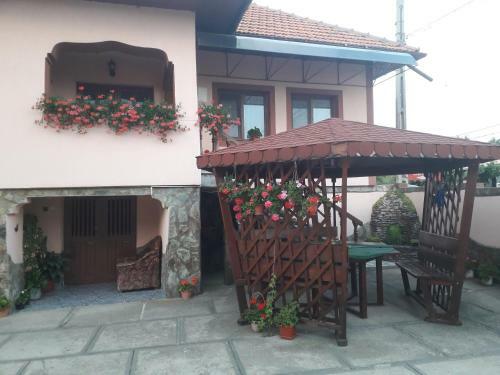 Hostal Pensiunea Ileana