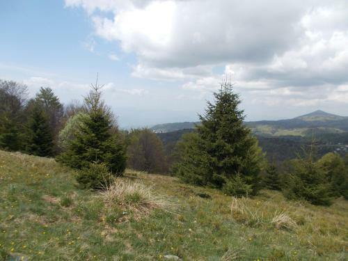 Apartamento Luksuzni Dupleks