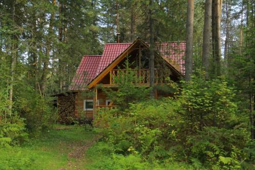 Biya Zapovednaya Holiday Park