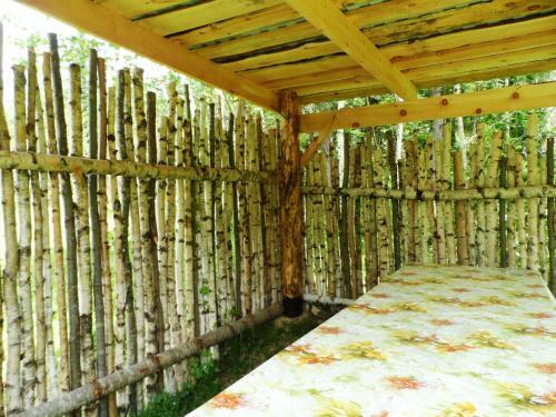 Biya Zapovednaya Holiday Park