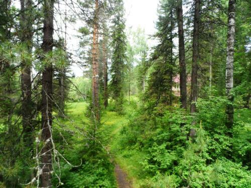 Biya Zapovednaya Holiday Park
