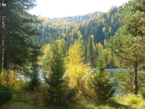 Biya Zapovednaya Holiday Park