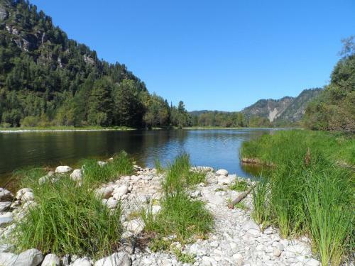 Biya Zapovednaya Holiday Park