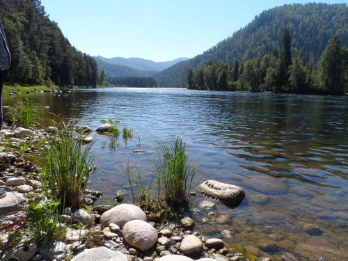 Biya Zapovednaya Holiday Park