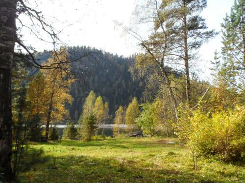 Biya Zapovednaya Holiday Park