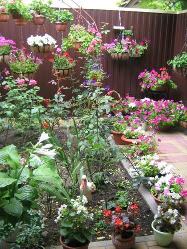 Hostal Guest House Apelsinka