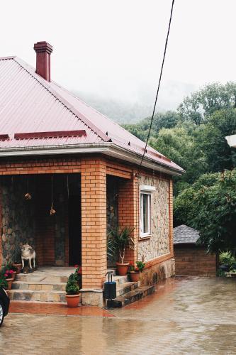 Lodge Volkov House