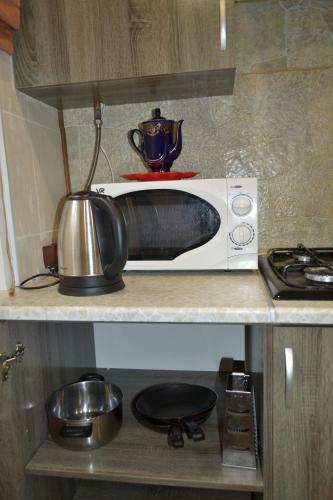 Apartment Chkalovskiy Mkr.