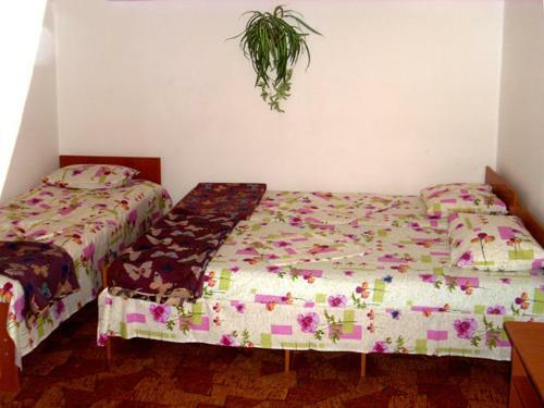 Hostal Guesthouse Novosolov