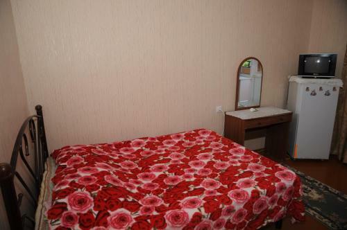 Hostal Guesthouse Novosolov