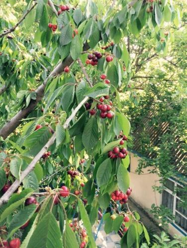 Hostal Guesthouse Novosolov