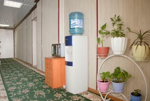 Hotel Sever Plus