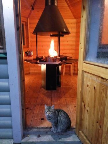 Hostal Khvoyny Guest House