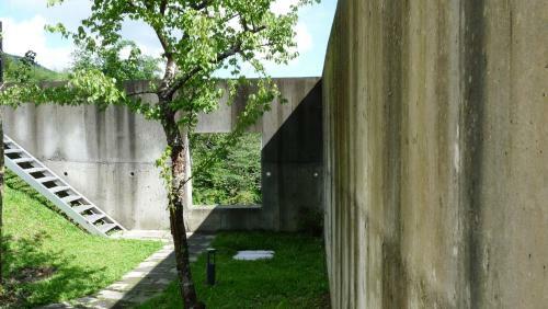 XI Tou In Sunny Day Inn