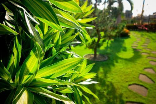 Jia Feng Vacation Homestay