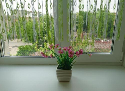 City Center Apartment