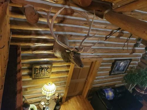 Lodge Waterfront Hidden Pines Log Cabin