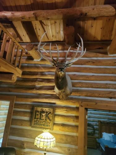 Lodge Waterfront Hidden Pines Log Cabin