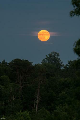Bed & Breakfast The Red Horse Inn