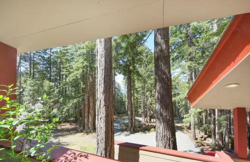 Architect's Redwood Rings Retreat