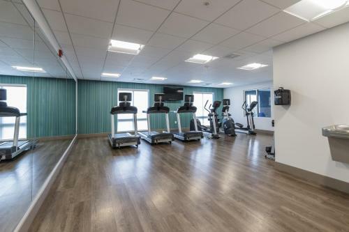 Hotel Holiday Inn Express & Suites South Bend - South