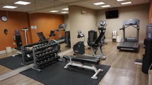 Hotel Holiday Inn Express & Suites Gibson