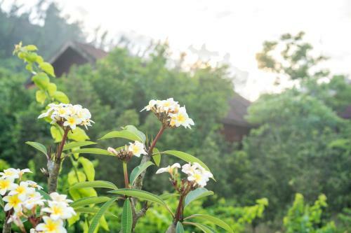 Hotel Qu?nh Vi�n Resort