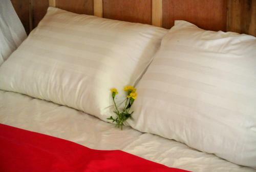 Ban Hieu Garden Lodge
