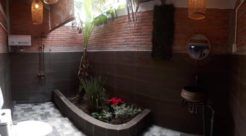 Bed & Breakfast Coco Land Homestay