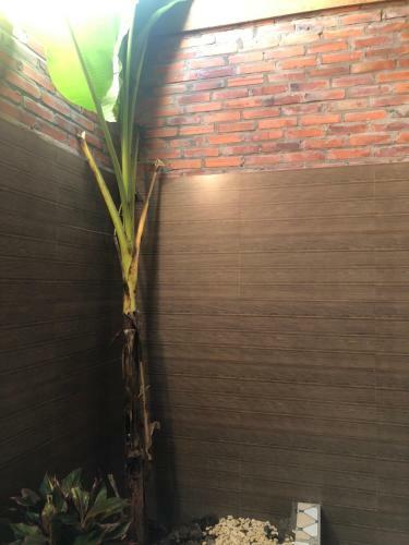Bed & Breakfast Coco Land Homestay