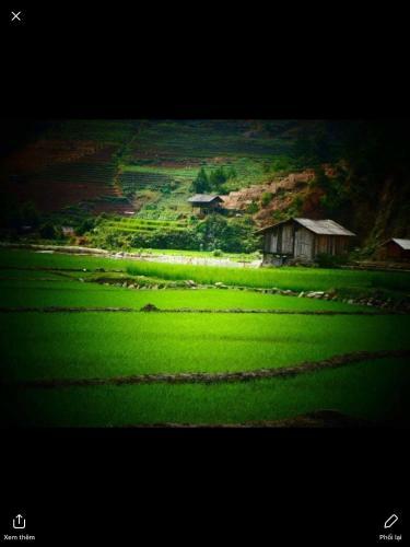 Do Gu Homestay