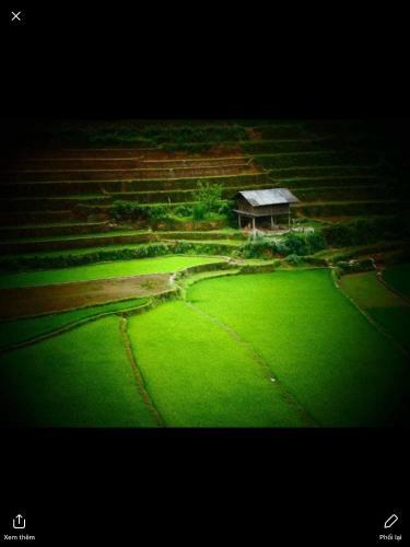 Do Gu Homestay