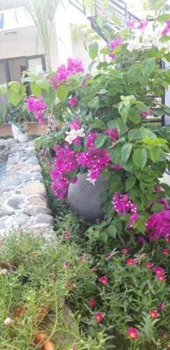 Bed & Breakfast Palafita Bungalow